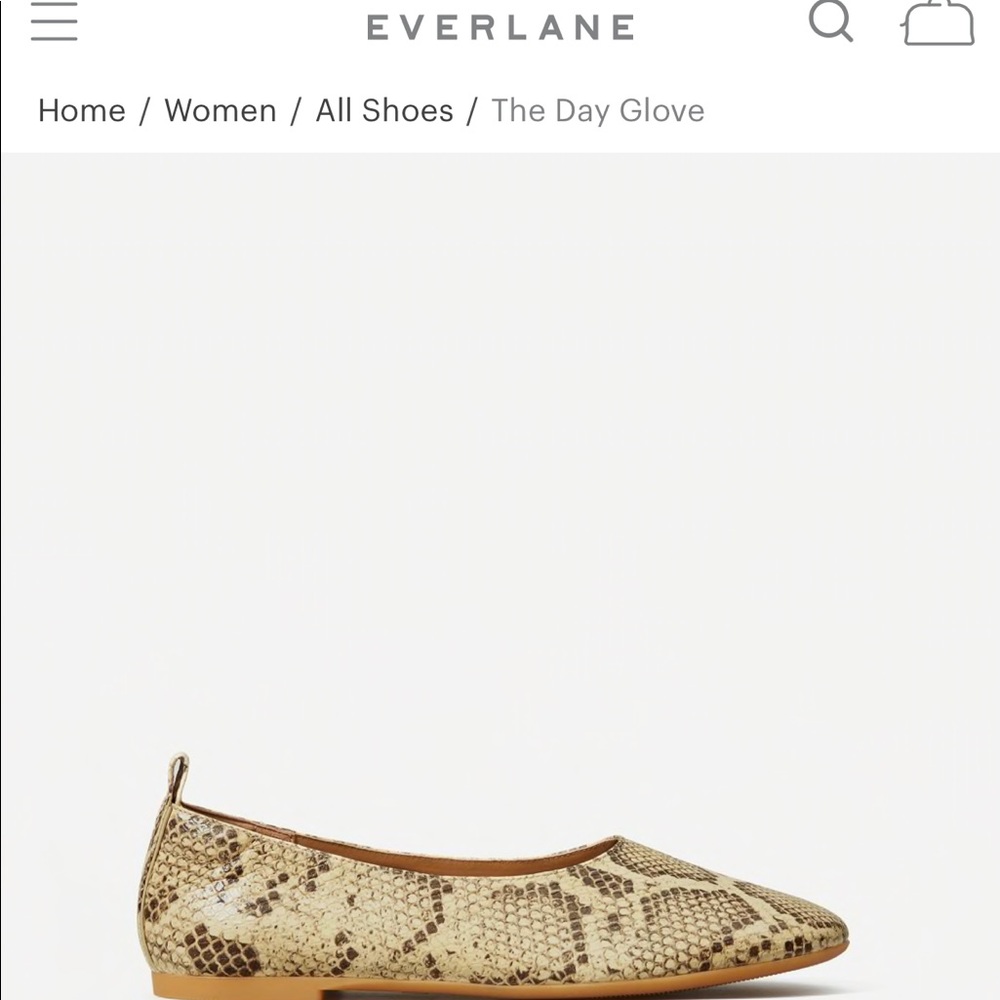 EVERLANE SNAKESKIN SHOE